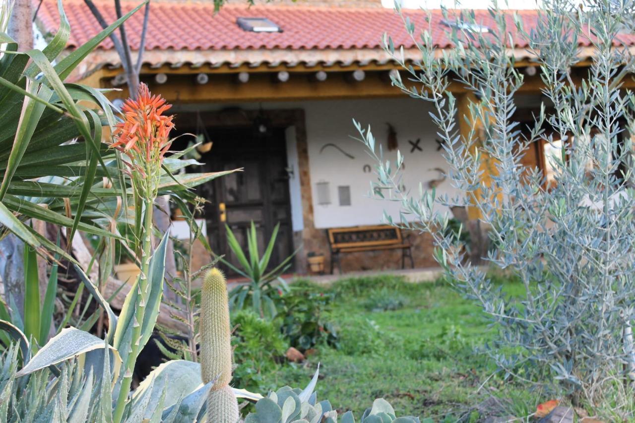 Casa Rural La Coscoja Merida Exterior foto