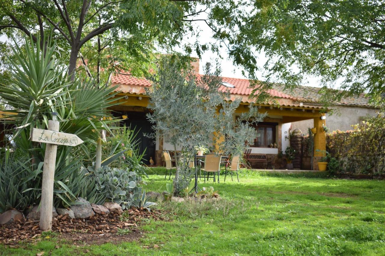 Casa Rural La Coscoja Merida Exterior foto